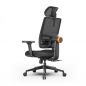    FoxGear NETZ  E, 