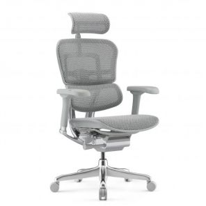  Ergohuman Elite 2 ( / )