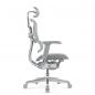   Falto Ergohuman Elite 2 ( / )