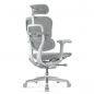   Falto Ergohuman Elite 2 ( / )
