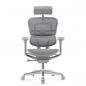   Falto Ergohuman Elite 2 ( / )