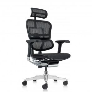  Ergohuman Elite 2 (  /)