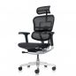   Falto Ergohuman Elite 2 (  /)
