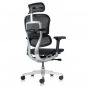   Falto Ergohuman Elite 2 (  /)