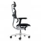   Falto Ergohuman Elite 2 (  /)