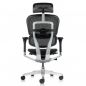   Falto Ergohuman Elite 2 (  /)