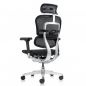   Falto Ergohuman Elite 2 (  /)