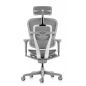   Falto Ergohuman Ultra ( / )