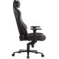   Everprof Blackshot , 