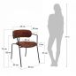     BRADEX HOME Ant,  