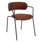     BRADEX HOME Ant,  