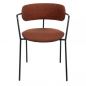     BRADEX HOME Ant,  