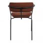     BRADEX HOME Ant,  