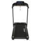   VictoryFit VF-4200