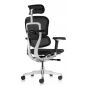   Falto Ergohuman Luxury 2 (  /)