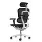   Falto Ergohuman Luxury 2 (  /)