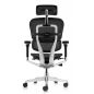   Falto Ergohuman Luxury 2 (  /)