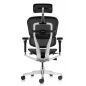   Falto Ergohuman Luxury 2 (  /)