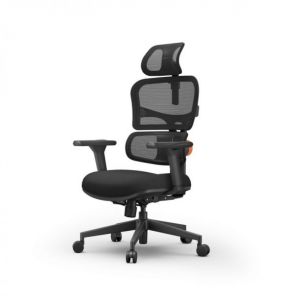 NETZ  XO - office edition