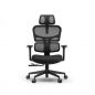    FoxGear NETZ  XO - office edition