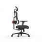    FoxGear NETZ  XO - office edition