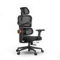    FoxGear NETZ  XO - office edition