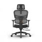    FoxGear NETZ  XO - office edition
