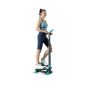    DFC SKY FITNESS SFSH100-A