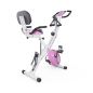  DFC X-Bike PLENY CF-917FM-2