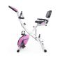  DFC X-Bike PLENY CF-917FM-2