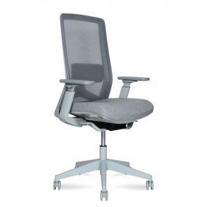  Williams grey LB /  / 