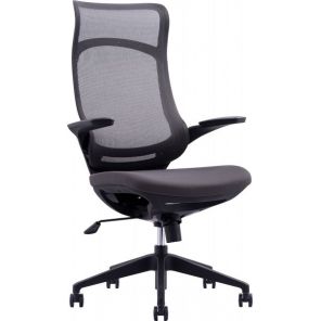 ������ Spirit ����� ������