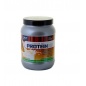   QNT Delicious Whey Protein 350  