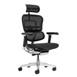 ������ Ergohuman 2 Luxury ����� , ������