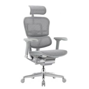 ������ Ergohuman 2 Elite �����, �����