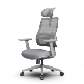 ������ NETZ One, DGGY, �����