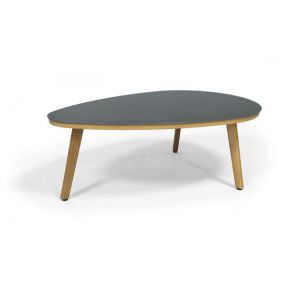 ���� ������� �������� ������ �� ����