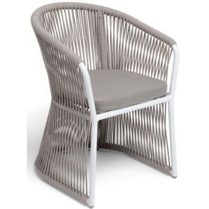 ���� ������ ����� ����