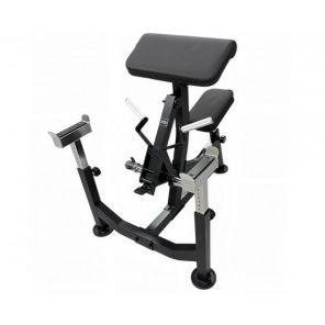 ������ ������ D2024