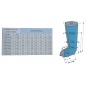   Phlebo Press  