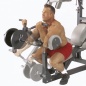    Body Solid SBL460