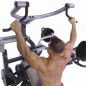    Body Solid SBL460