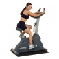   Body Solid Endurance B2U