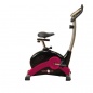  Body Solid Endurance BFUB1