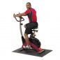   Body Solid Endurance BFUB1