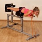    Body Solid SGH500
