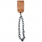   Body Solid    MA310