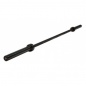   Body Solid OB86B