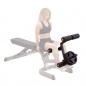    Body Solid GLDA3 (  GFID71)