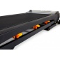    NordicTrack T17.5